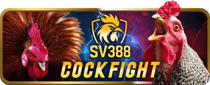 Hướng dẫn chơi và thắng lớn tại 88k Casino